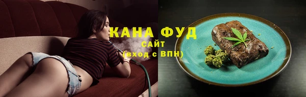 гашик Осинники